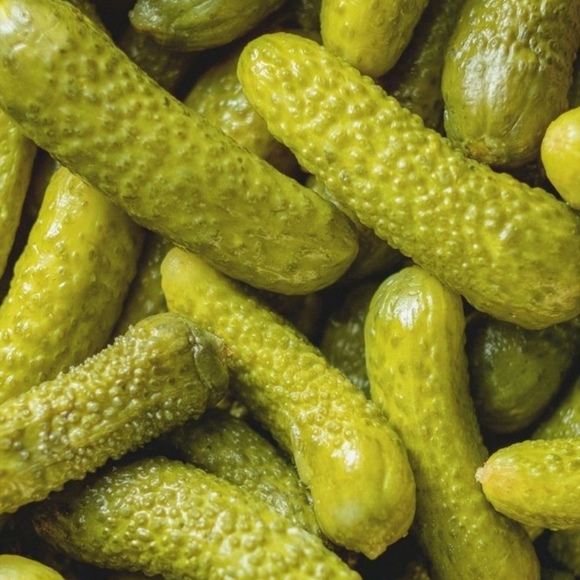 Meet your Posher, Bella - Picture 1 of 1